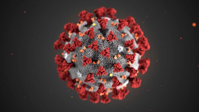 Coronavirus - Un chercheur déclare que la pandémie pourrait sauver des vies