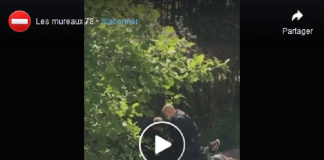 Asnières : « J’te jure, j’te pète le bras ! » menace un policier lors d’une interpellation musclée - VIDÉO