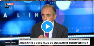 "L'immigration change la composition d'une peuple, il faut un référendum", propose Eric Zemmour