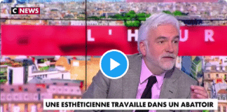 Pascal Praud pris d'un fou rire concernant une esthéticienne devenue employée d'un abattoir