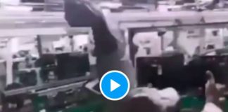 Inde des ouvriers en colère saccagent leur usine iPhone - VIDEO (1)