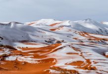 Algérie - des photos du Sahara sous la neige font le tour du monde2