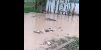 Maroc un cadavre flotte dans les rues après les pluies meurtrières - VIDEO