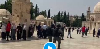 Al-Aqsa Les soldats israéliens attaquent les fidèles pendant la salât joumou’a - VIDEO 