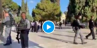 Escortés par la police israélienne, des colons juifs pénètrent dans l'enceinte d'Al-Aqsa - VIDEO