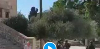 Al-Aqsa un soldat israélien arrache son tapis à une Palestinienne qui s'apprêtait à faire sa prière - VIDEO