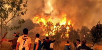 L'Algérie observe un jour de deuil après près de 70 morts dans des incendies criminels