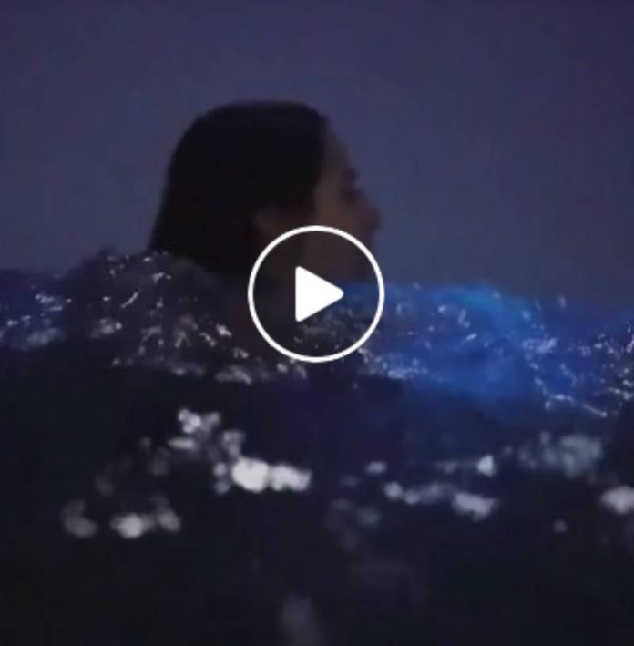Les plages de Tasmanie couvertes de particules bleues fluorescentes - VIDEO