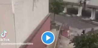 « Ta sale gueule de singe ! » un policier insulte un jeune homme témoin de son délit - VIDEO