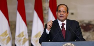 Egypte - Le président Sissi demande l'interdiction des plantes décoratives pour économiser l'eau