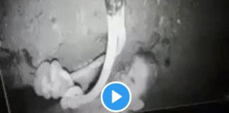 Maroc le petit Rayan coincé dans un puits depuis 3 jours toujours en vie - VIDEO