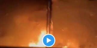 Des fanatiques israéliens incendient près de 100 maisons palestiniennes près de Naplouse - VIDEO